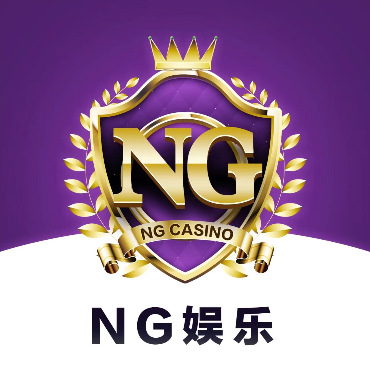 NG国际集团